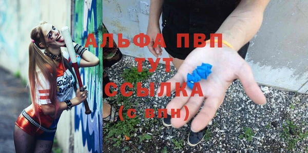 твердый Аркадак