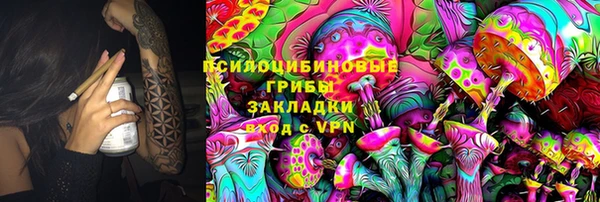 твердый Аркадак