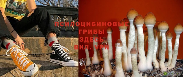 гашик Арсеньев